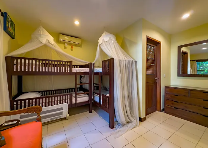 Spacious - Santai - *